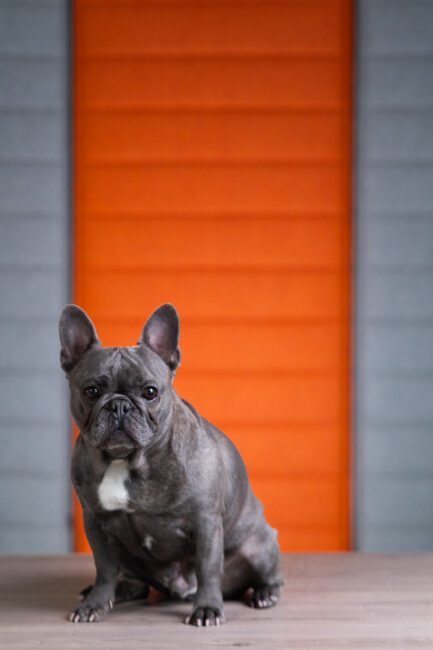 Teamfoto eines mittelständischen Unternehmens aus Burgau